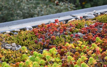 the cost of Scrane End green roof installation