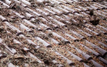 Scrane End roof cleaning companies