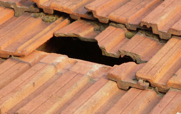 roof repair Scrane End, Lincolnshire