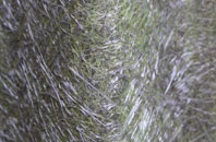 Scrane End fibreglass roof work